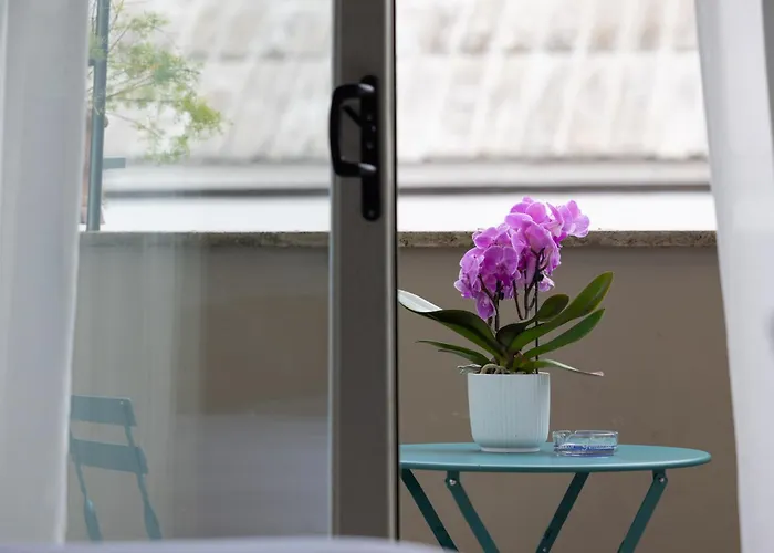 Zaccardi Roof Garden